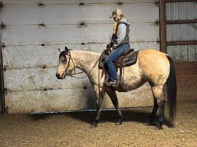 Photo of 6. Annie Oakleys Gunz
